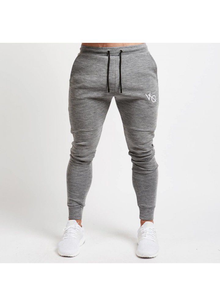 Sportswear men's new autumn and winter muscle brothers leisure jogging pants wholesale fitness Leggings