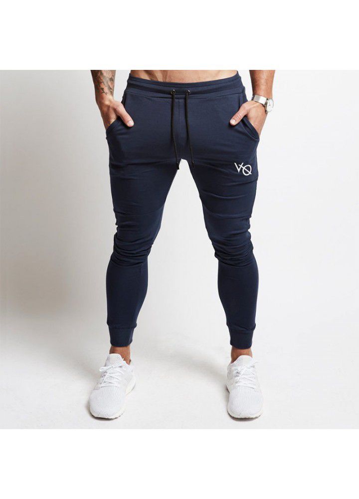 Sportswear men's new autumn and winter muscle brothers leisure jogging pants wholesale fitness Leggings