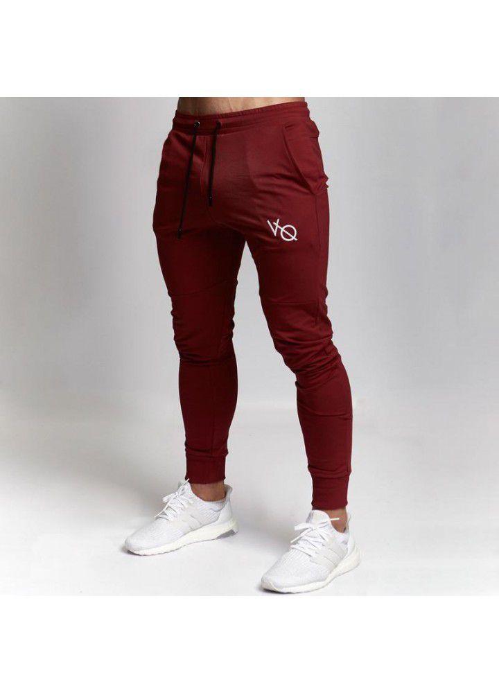 Sportswear men's new autumn and winter muscle brothers leisure jogging pants wholesale fitness Leggings